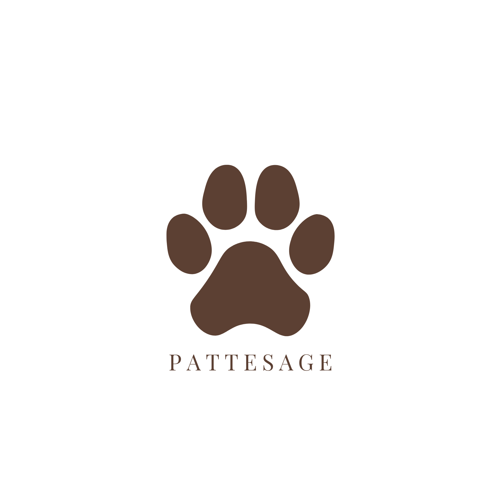 PATTESAGE
